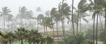 Rains From Hurricanes